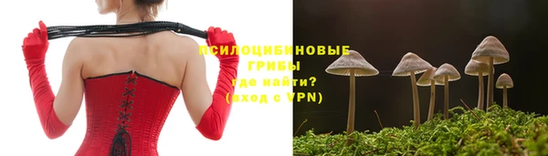 MESCALINE Алзамай