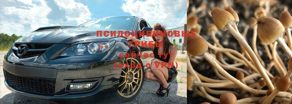 MESCALINE Алзамай