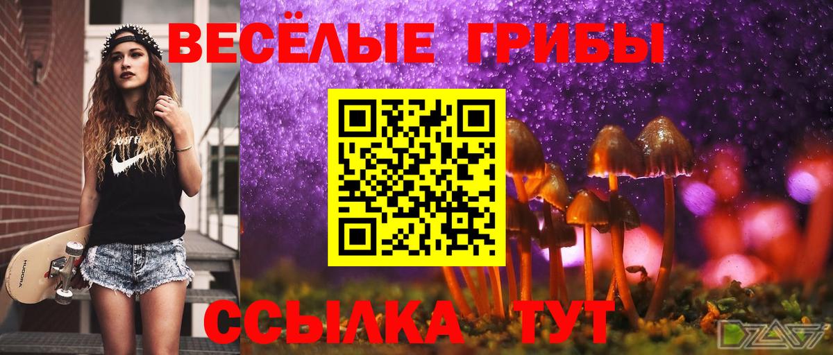 Галлюциногенные грибы Psilocybine cubensis  Вход с VPN  Усолье-Сибирское 