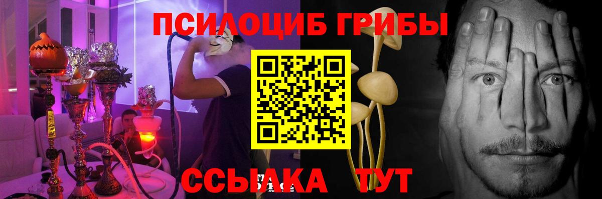 Галлюциногенные грибы Psilocybine cubensis Усолье-Сибирское